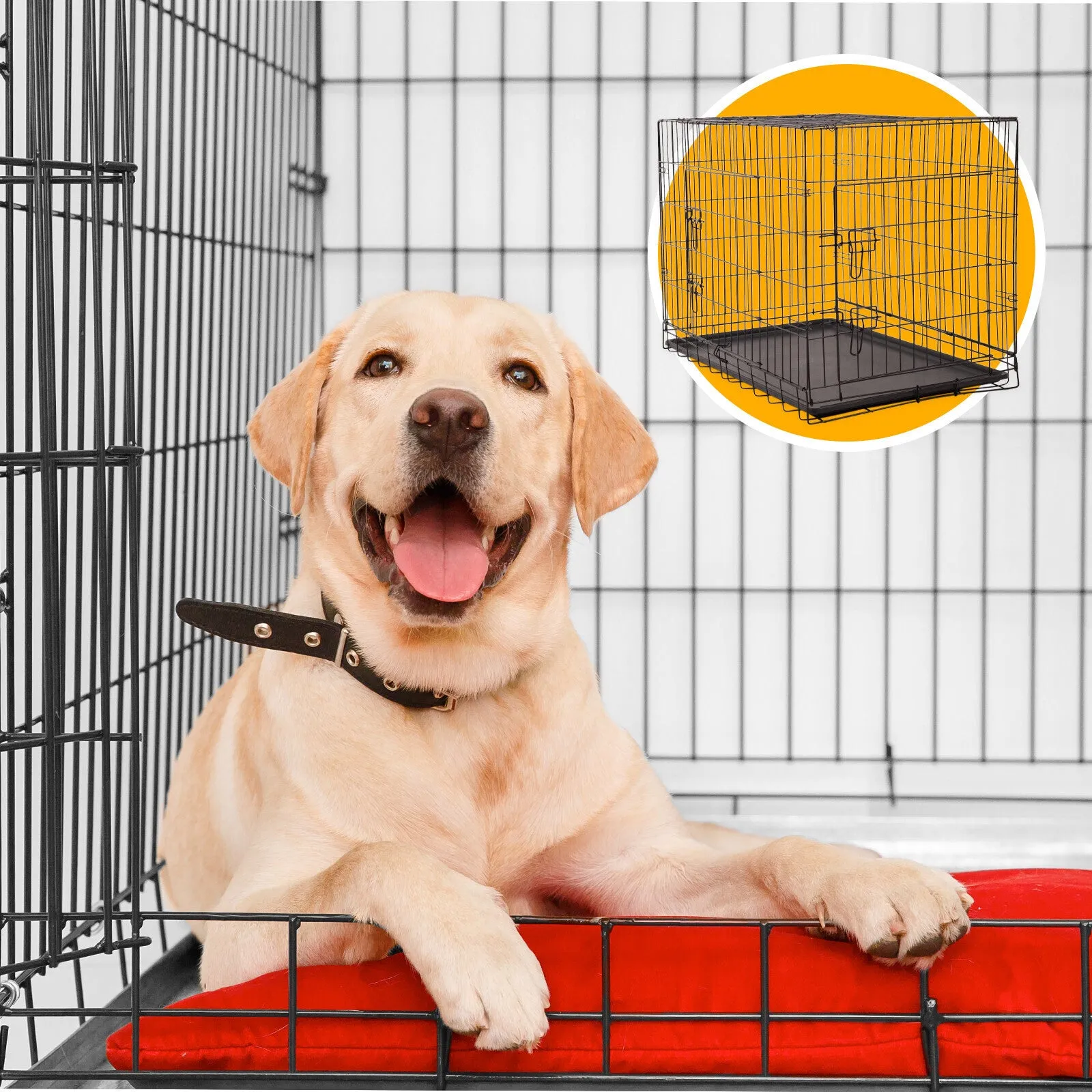 4paws dog cage pet crate cat puppy metal cage abs tray foldable