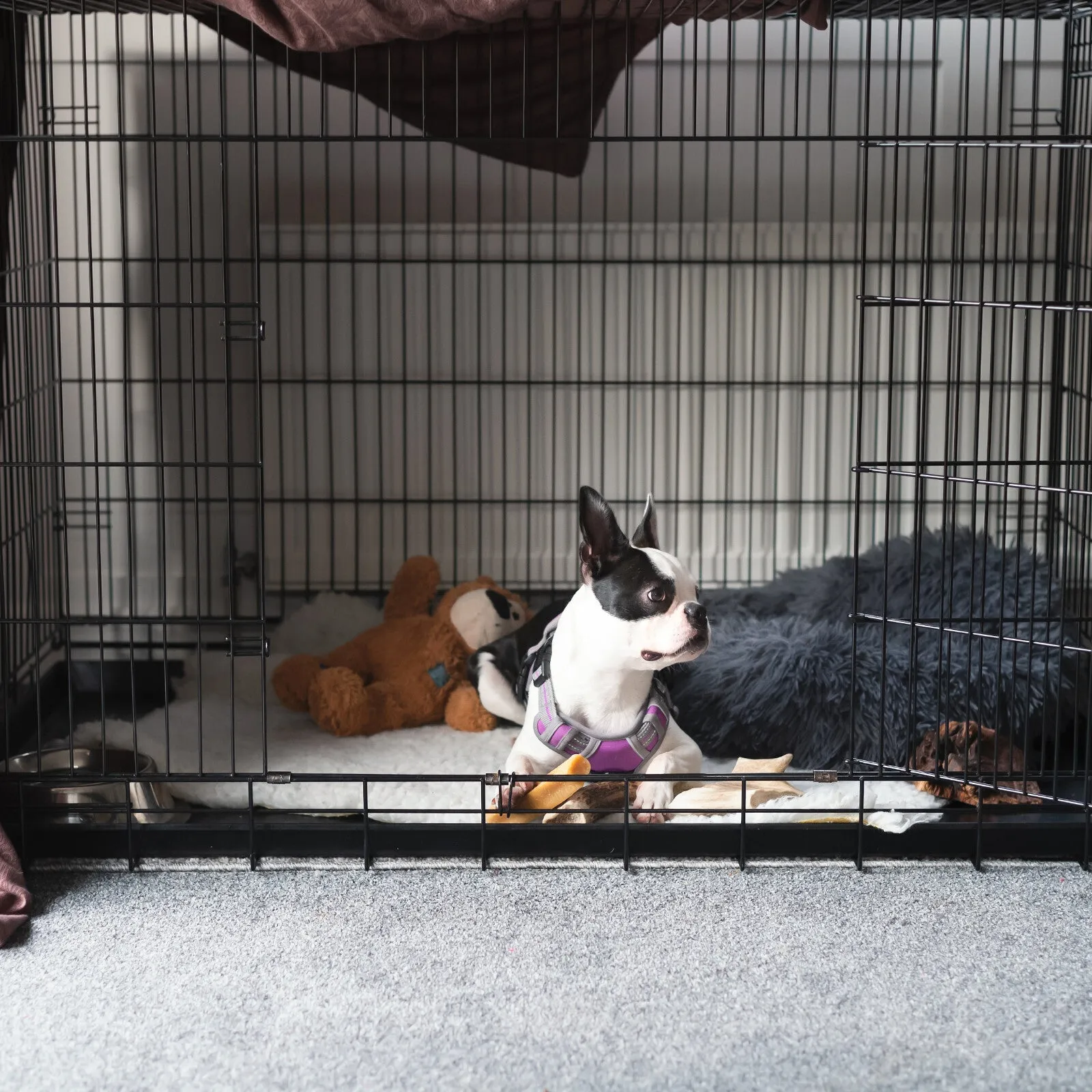4paws dog cage pet crate cat puppy metal cage abs tray foldable