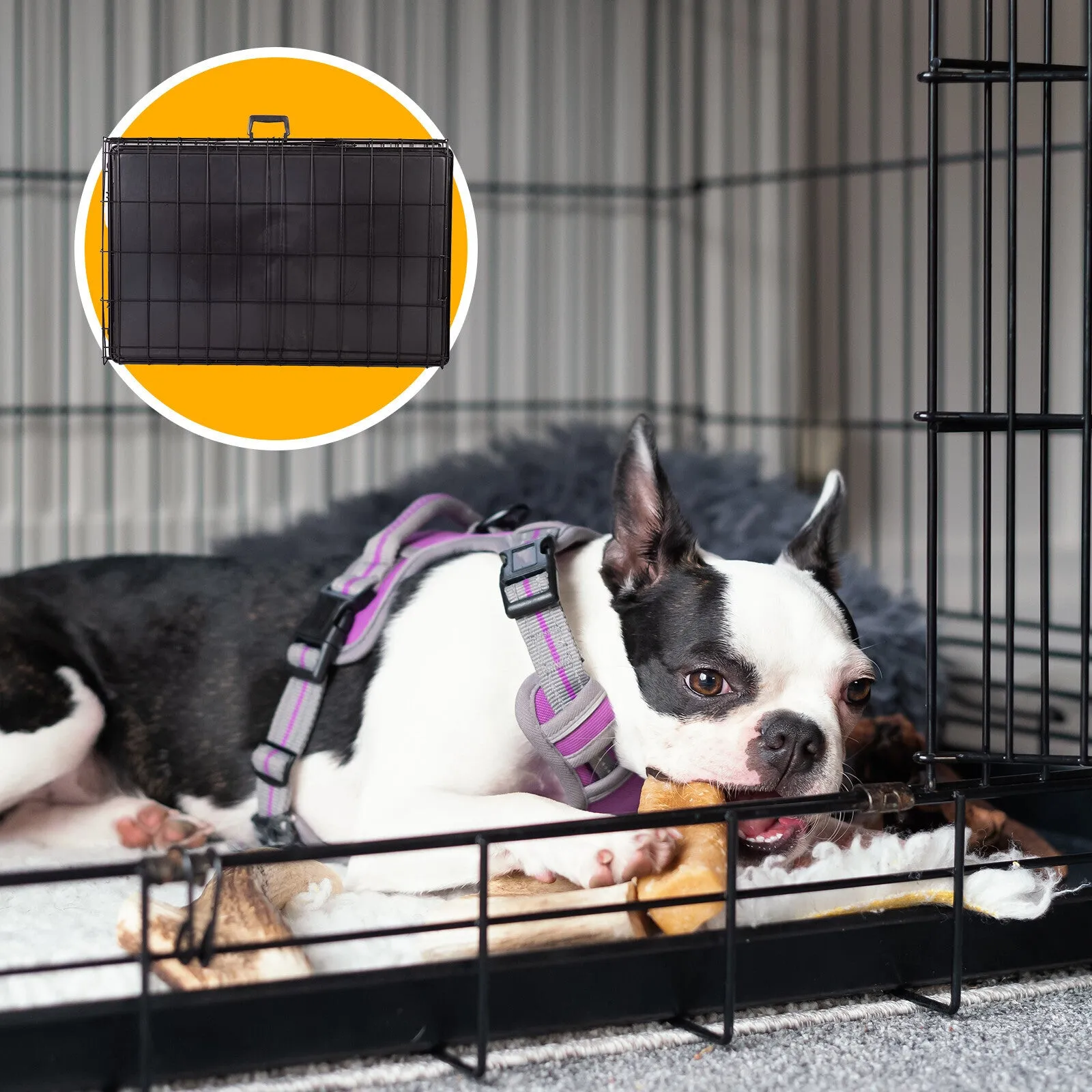 4paws dog cage pet crate cat puppy metal cage abs tray foldable