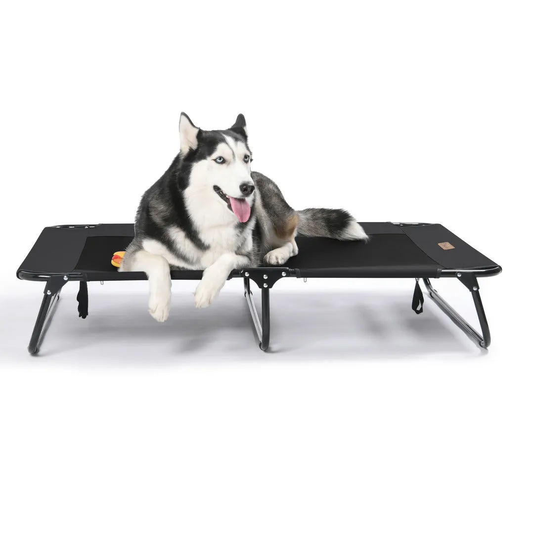Adventure Foldable Travel Pet Cot Black