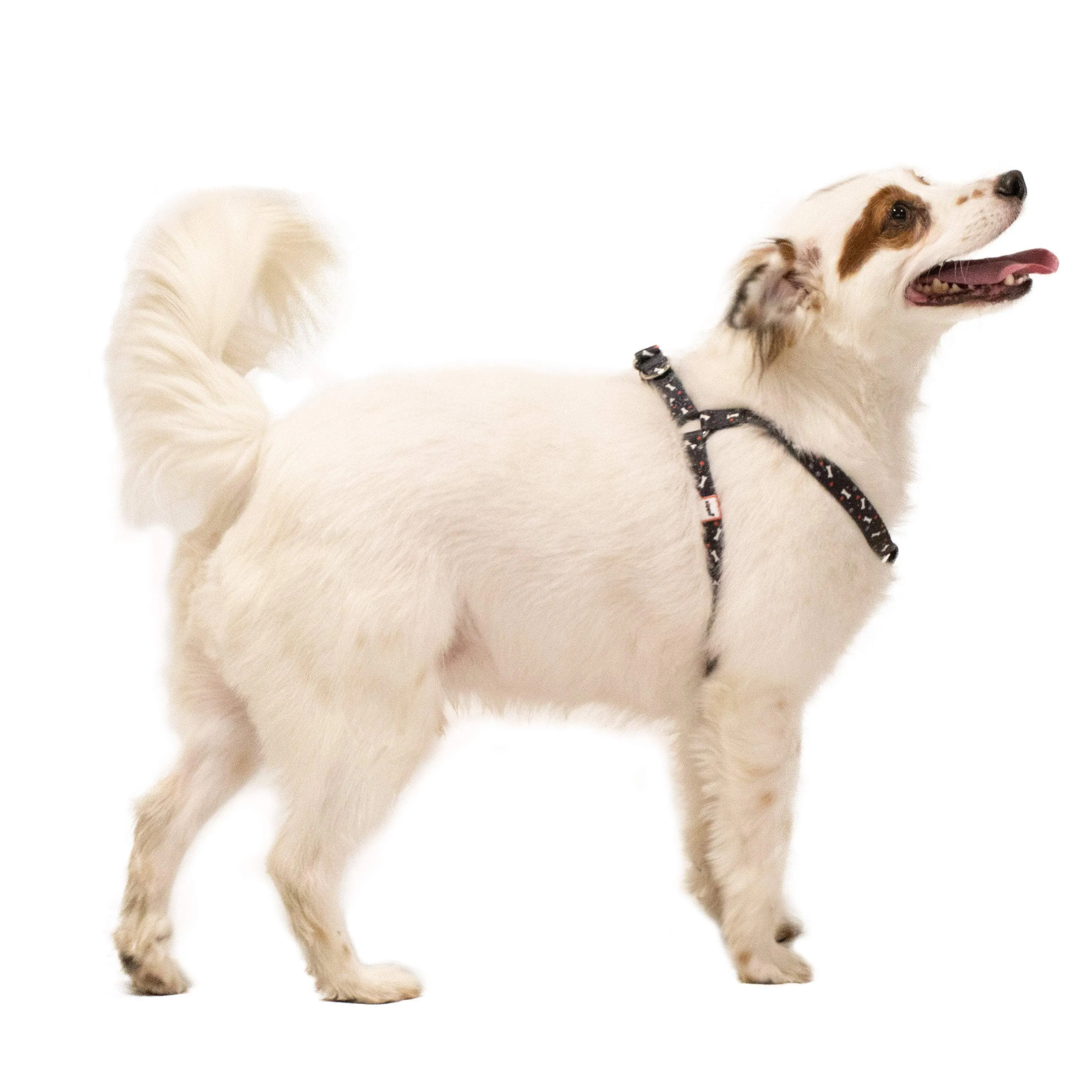 Black Nylon Pet Harness