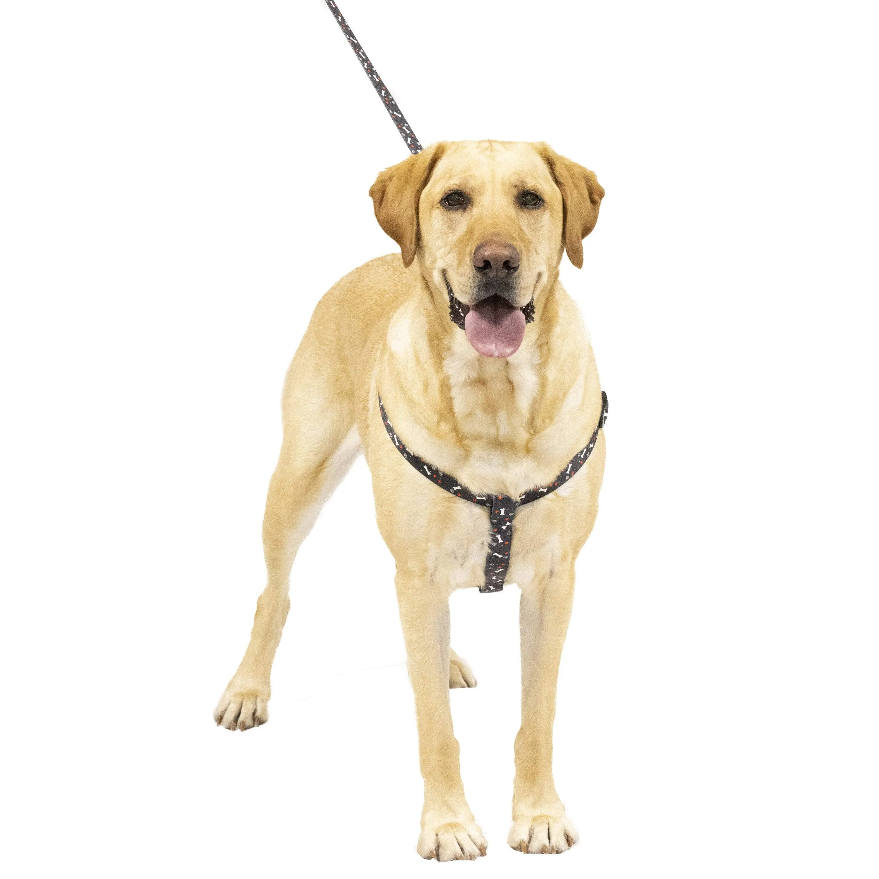 Black Nylon Pet Harness
