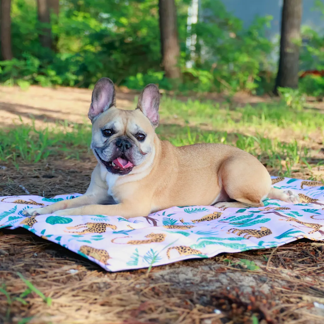 Calming Travel Mat