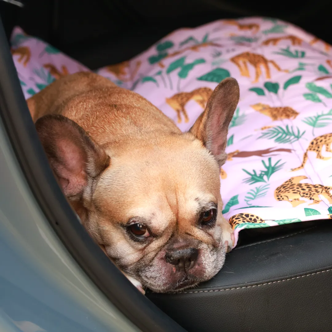 Calming Travel Mat