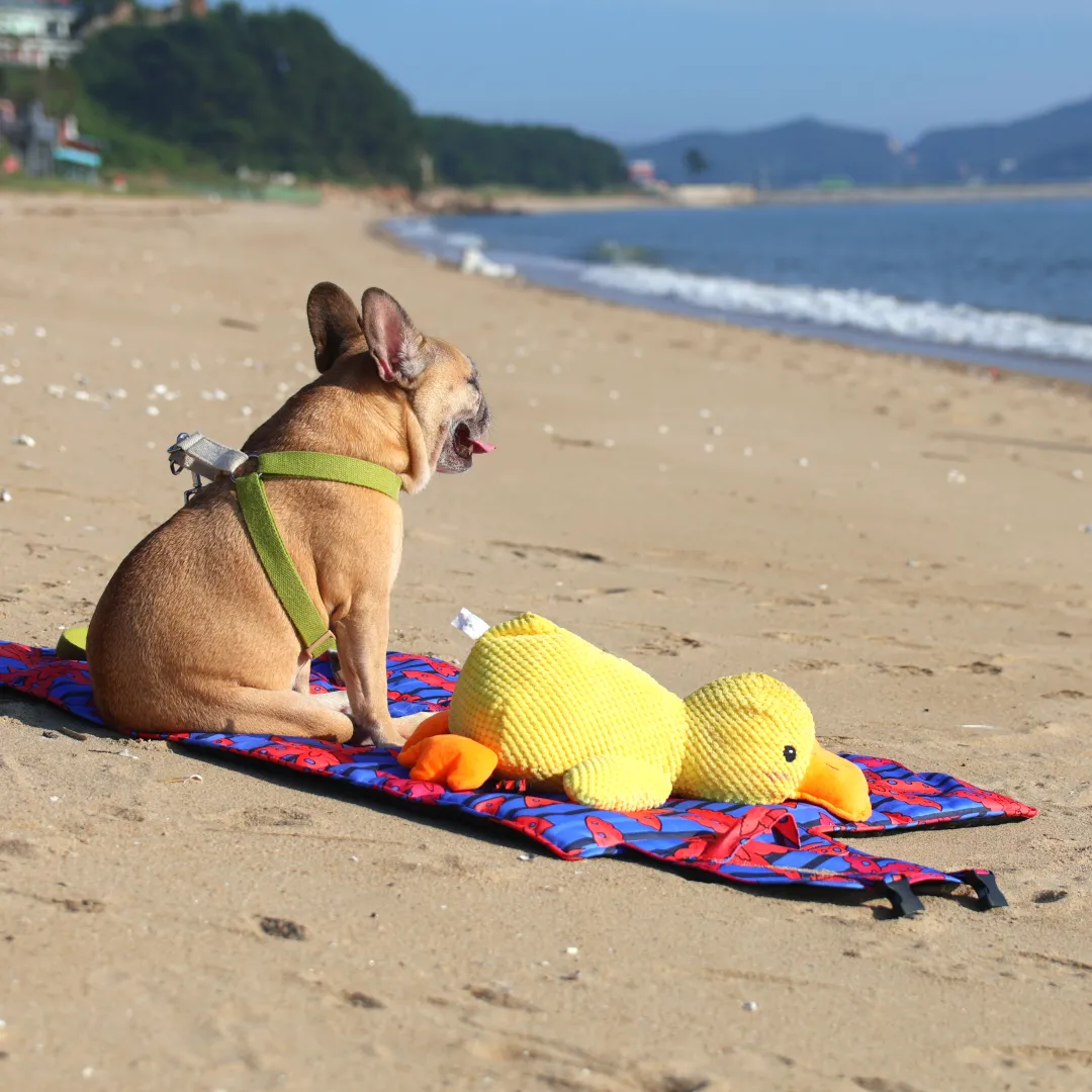Calming Travel Mat