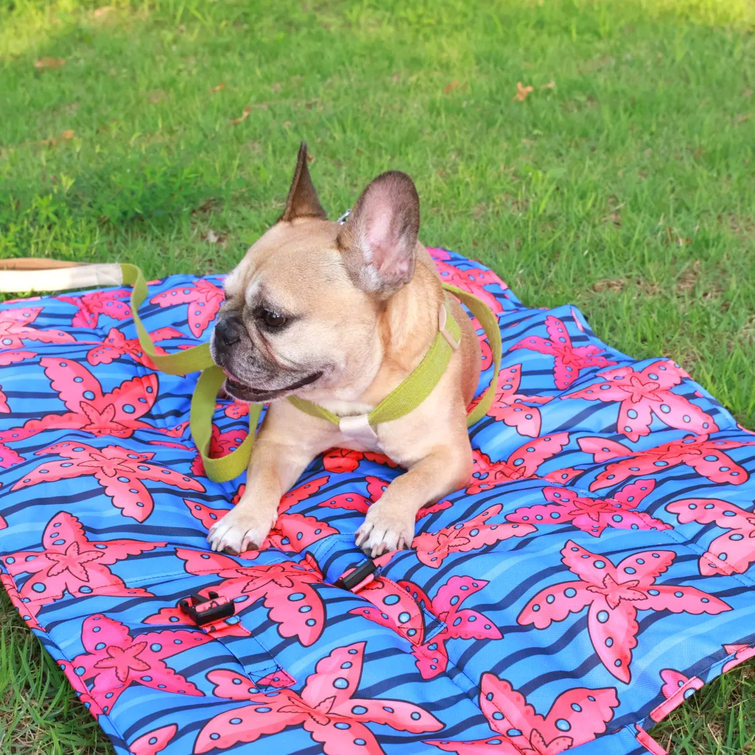Calming Travel Mat