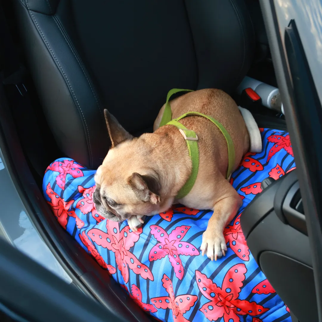 Calming Travel Mat