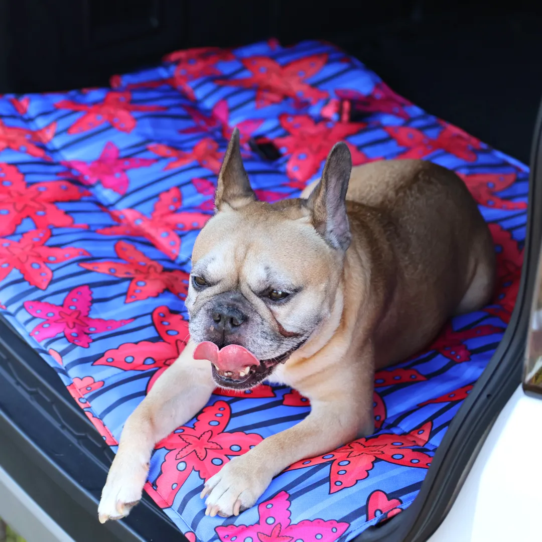 Calming Travel Mat