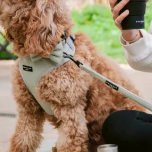 Cocopup London Sage Tweed Adjustable Neck Harness