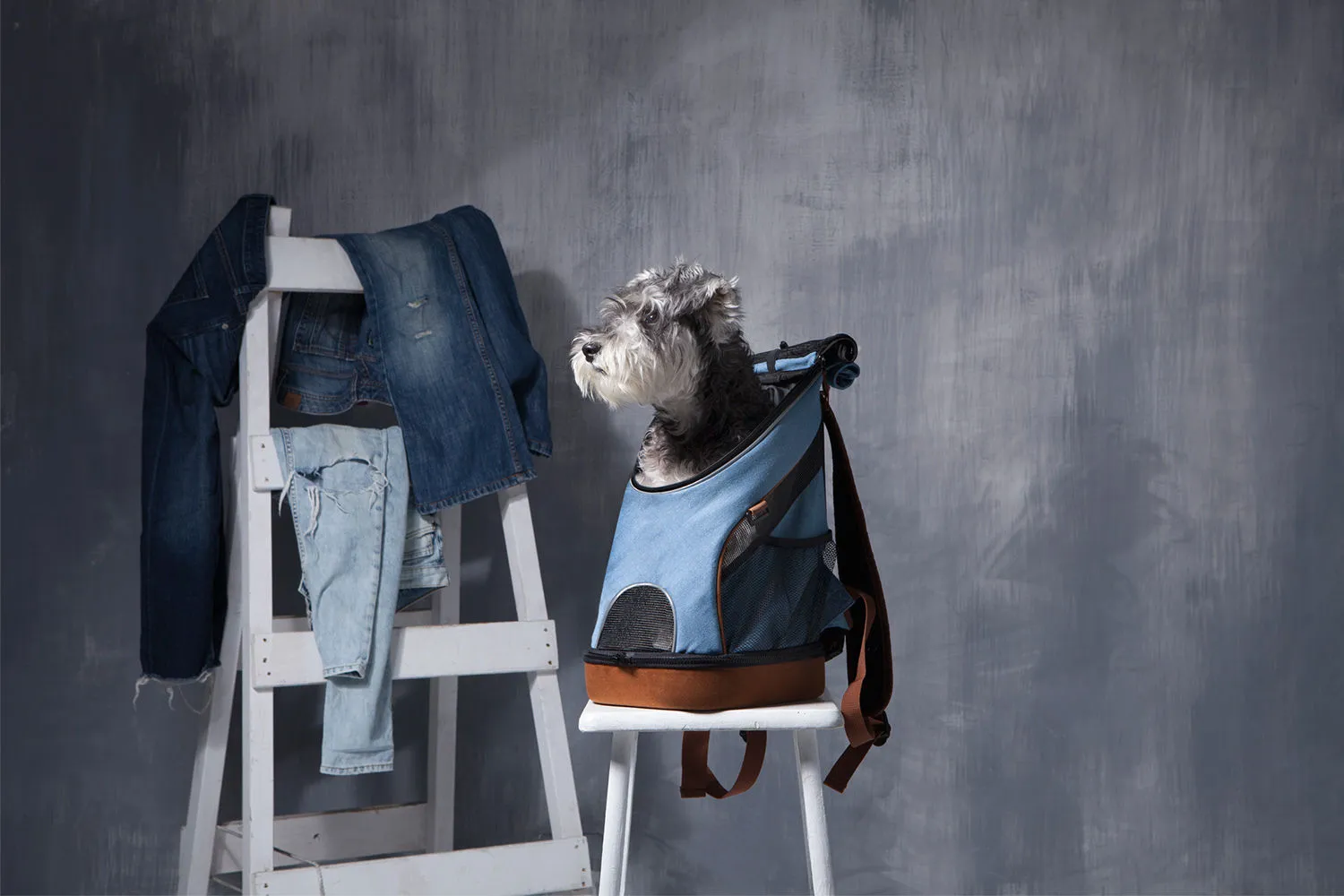Denim Fun Lightweight Pet Backpack