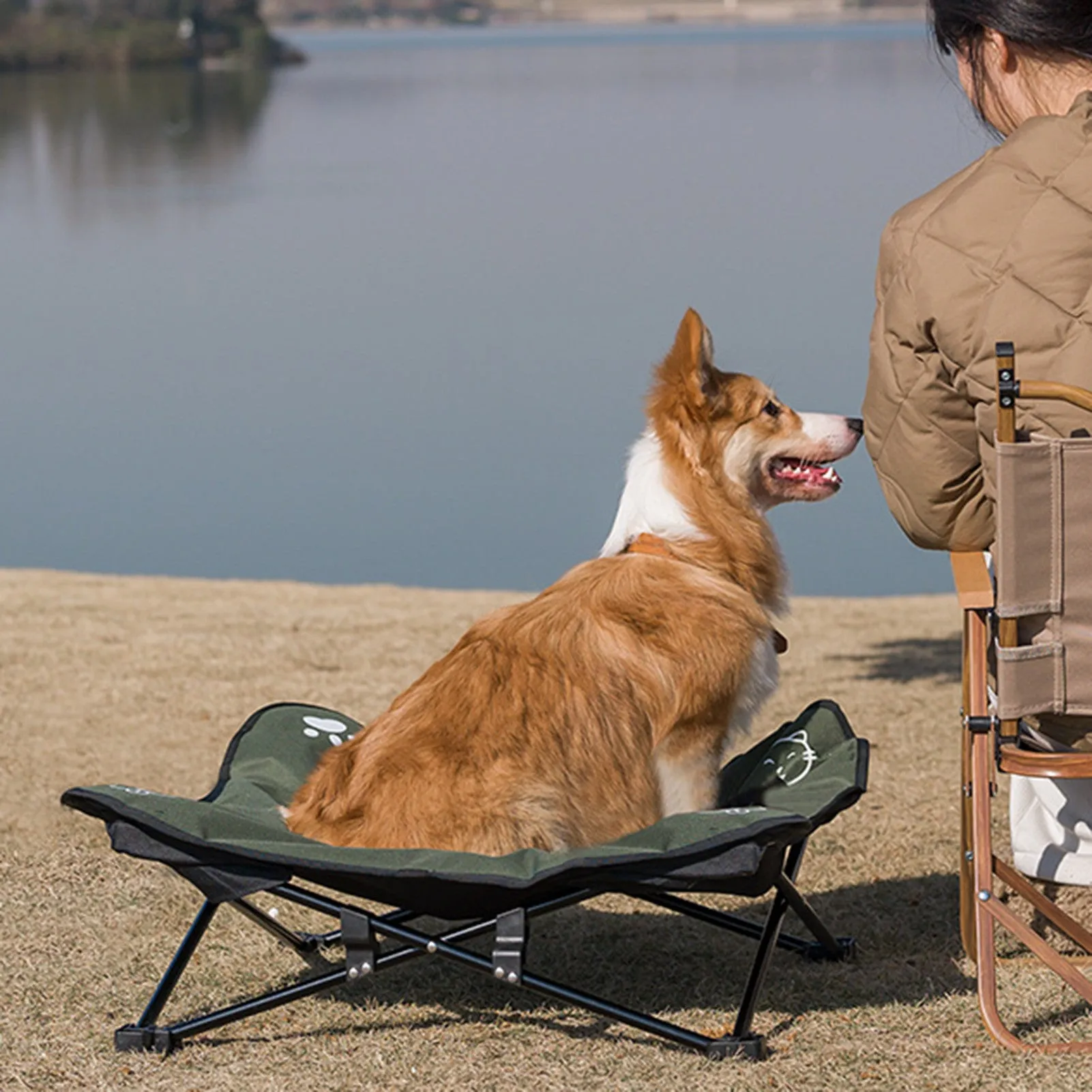 Elevated Pet Dog Bed: Indoor/Outdoor Folding Cot for Small, Medium, and Large Dogs | Comfortable Sleeping Nest | Perfect for Camping and Adventures | Pet Supplies