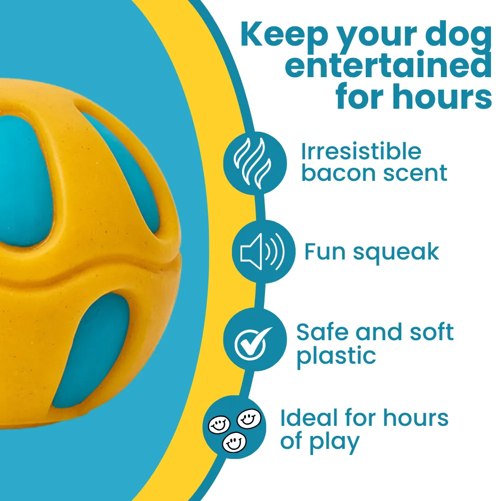 Kanu Pet Soft Yellow Solid Ball with Chicken Scent Dog Toy
