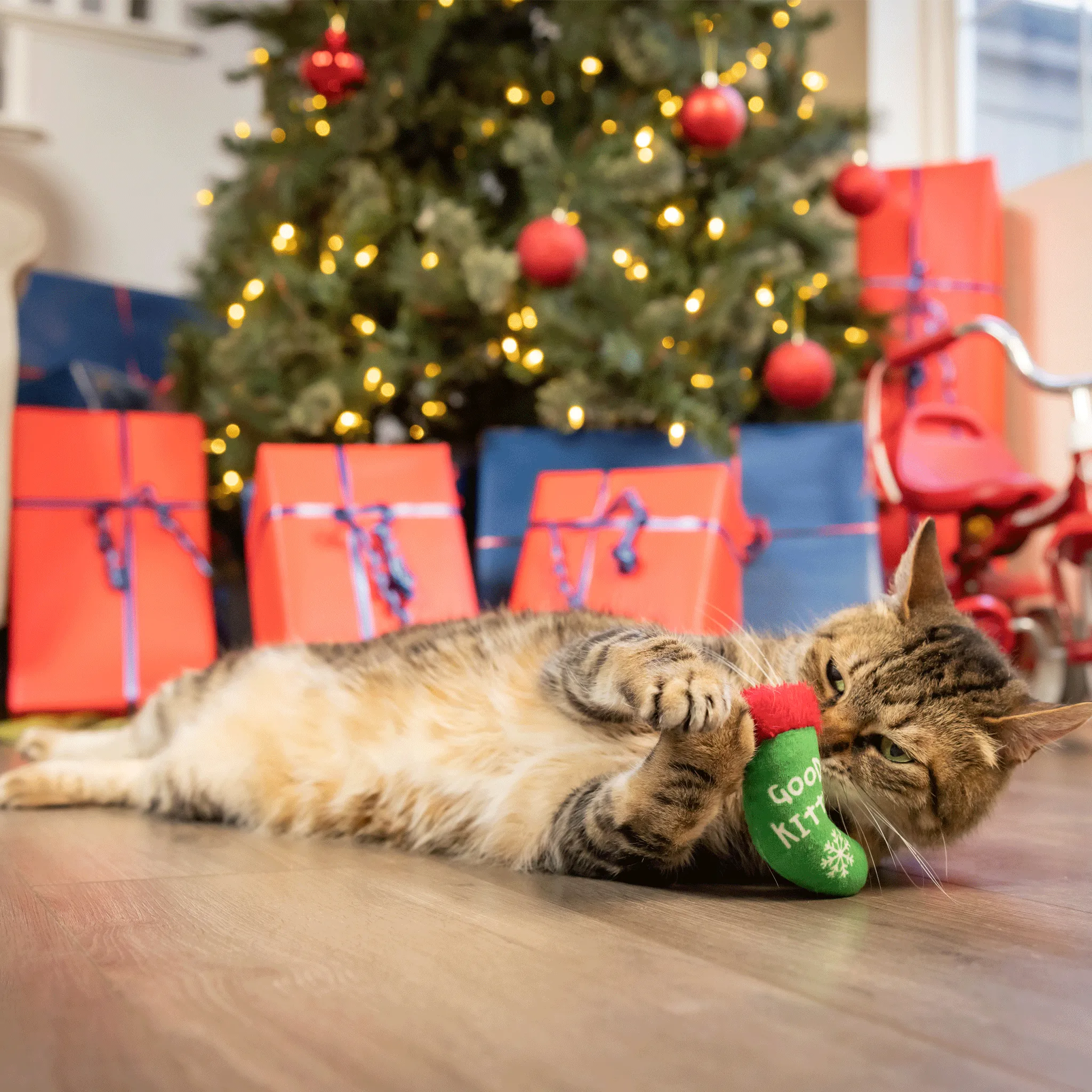 Kittybelles Good Kitty Bad Kitty Stocking - Cat Toy