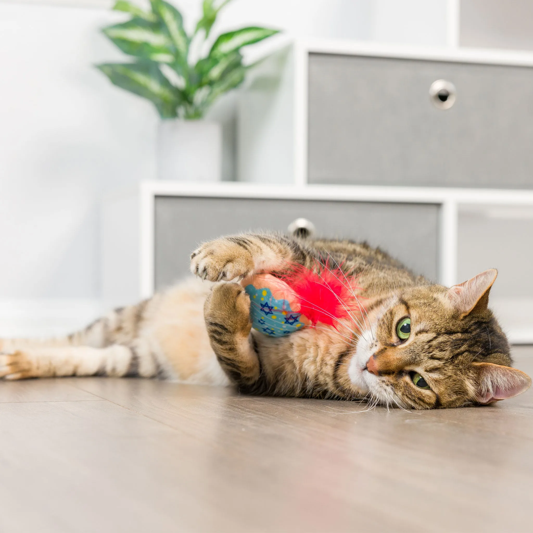 Kittybelles Jelly Roll & Meowchewits Cat Toys - 2 Pack
