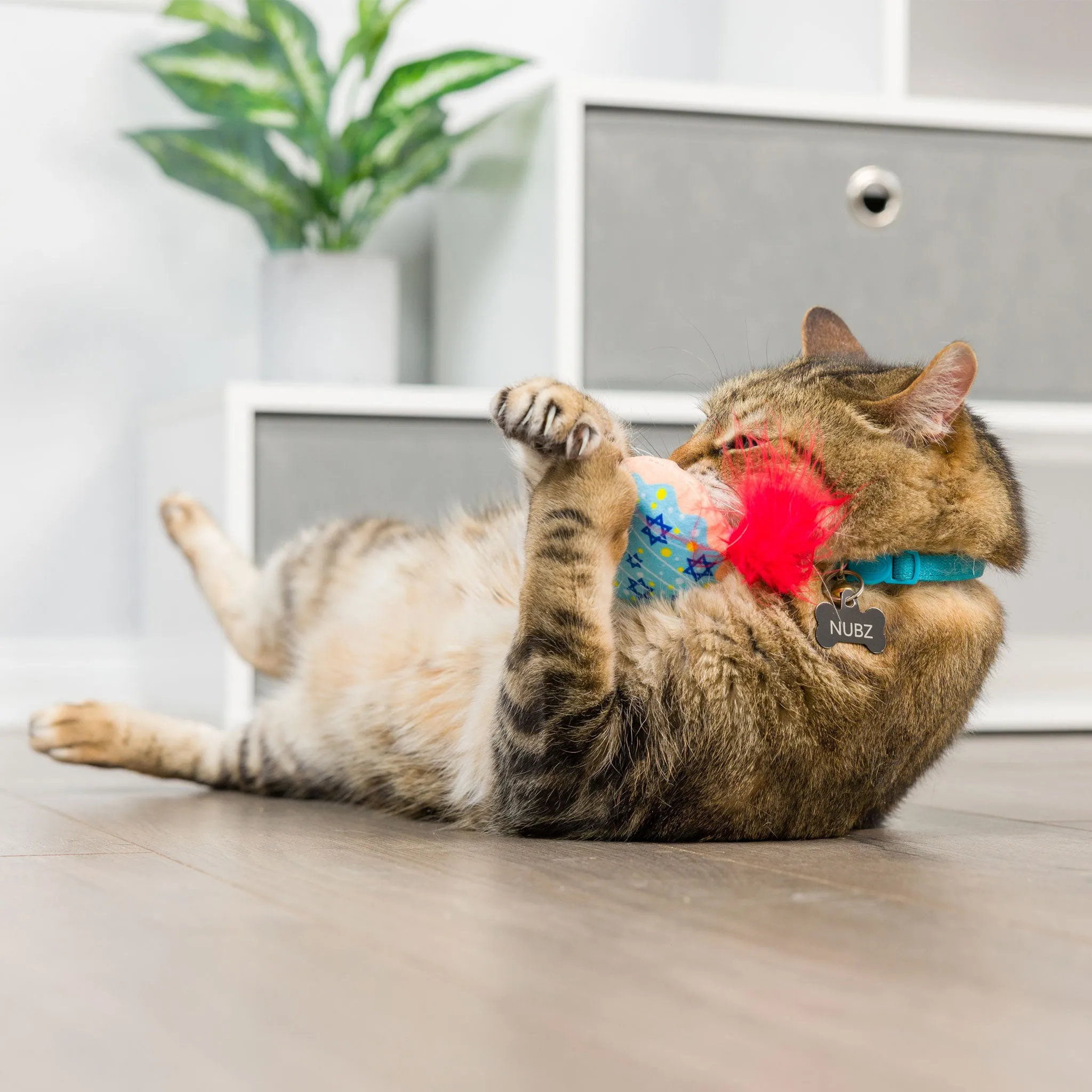 Kittybelles Jelly Roll & Meowchewits Cat Toys - 2 Pack