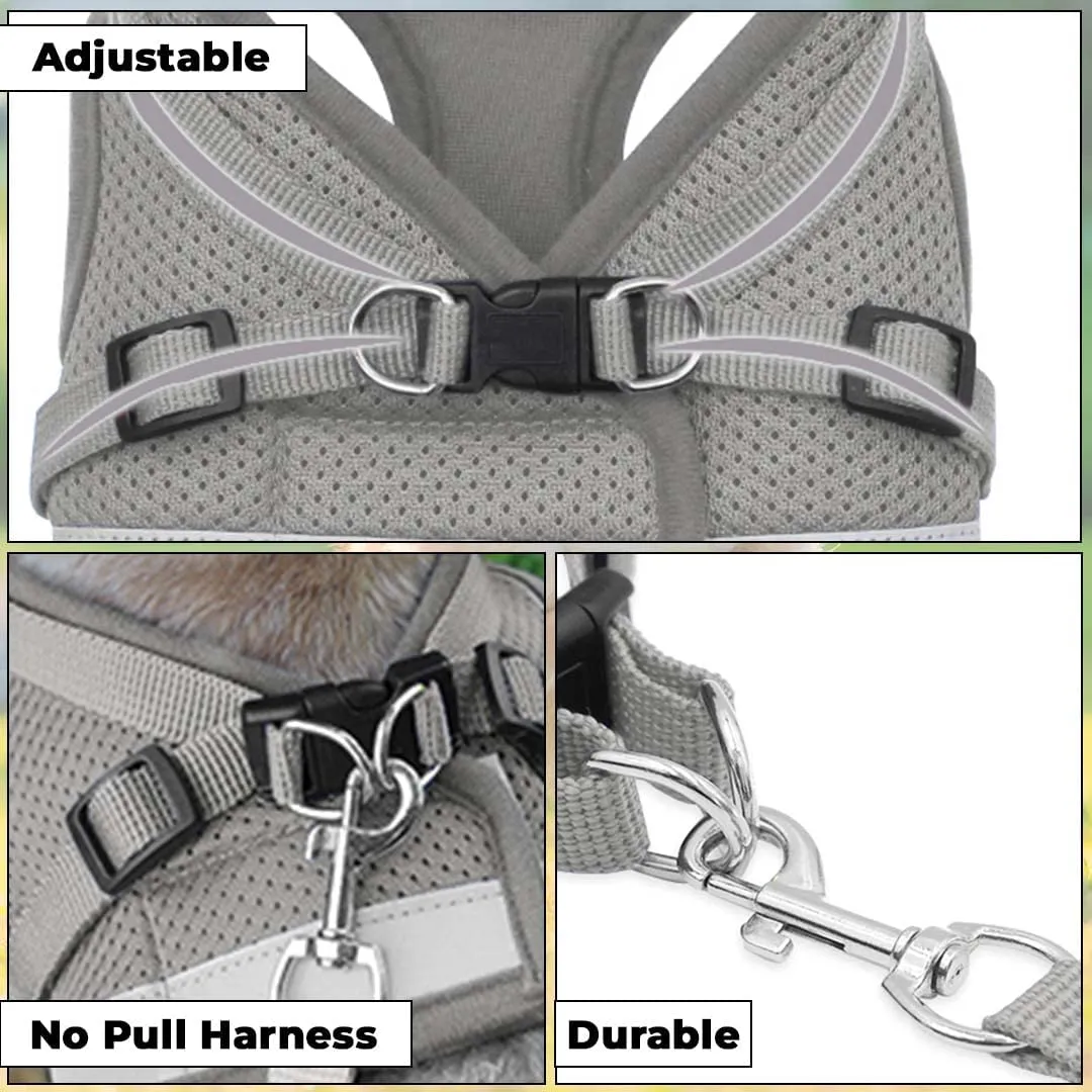 Kuber Industries Reflective Dog Harness with Adjustable Leash|Breathable Polyester Mesh Fabric |Medium Size|HT-844|Comfortable No-Pull Grip|Quick Release Buckles|Easy On-Off Harness|Grey (Pack of 2)
