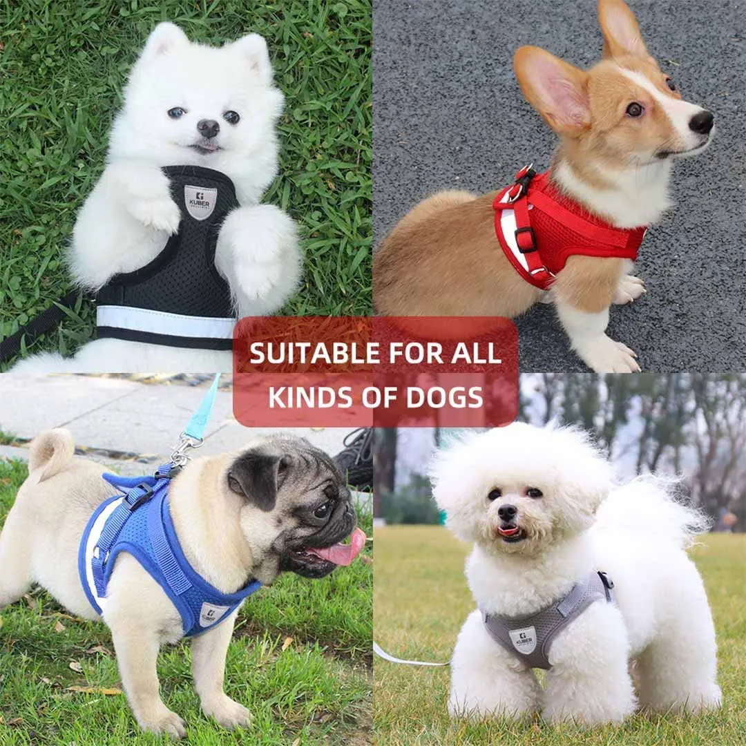 Kuber Industries Reflective Dog Harness With Adjustable Leash|Breathable Polyester Mesh Fabric |XL Size|HT-844|Comfortable No-Pull Grip|Quick Release Buckles|Easy On - Easy Off Harness|Red (Pack Of 3)
