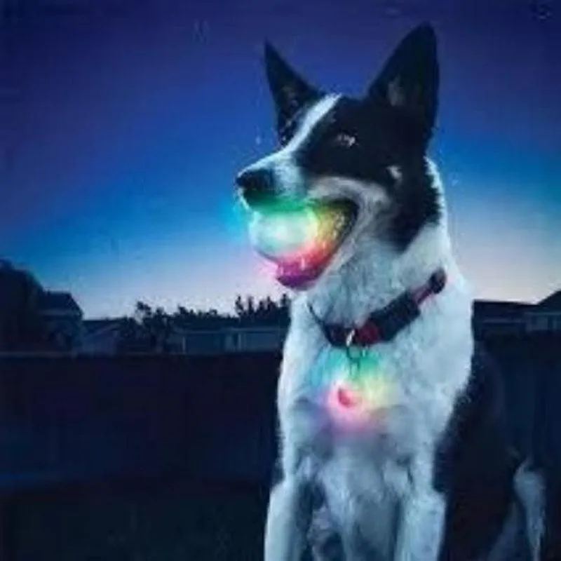 LED Pet Ball