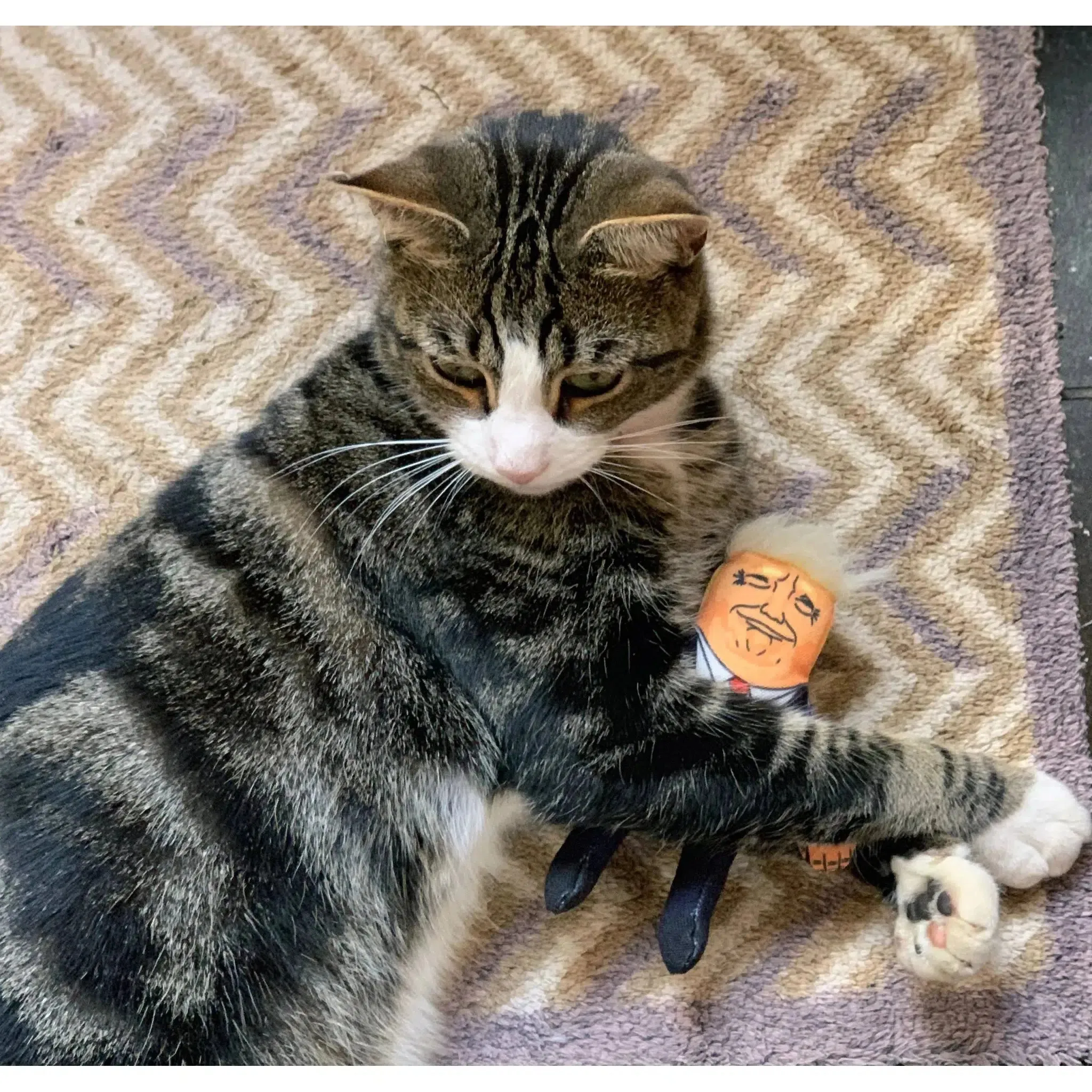 Pet Hates | Donald Trump - Cat Toy