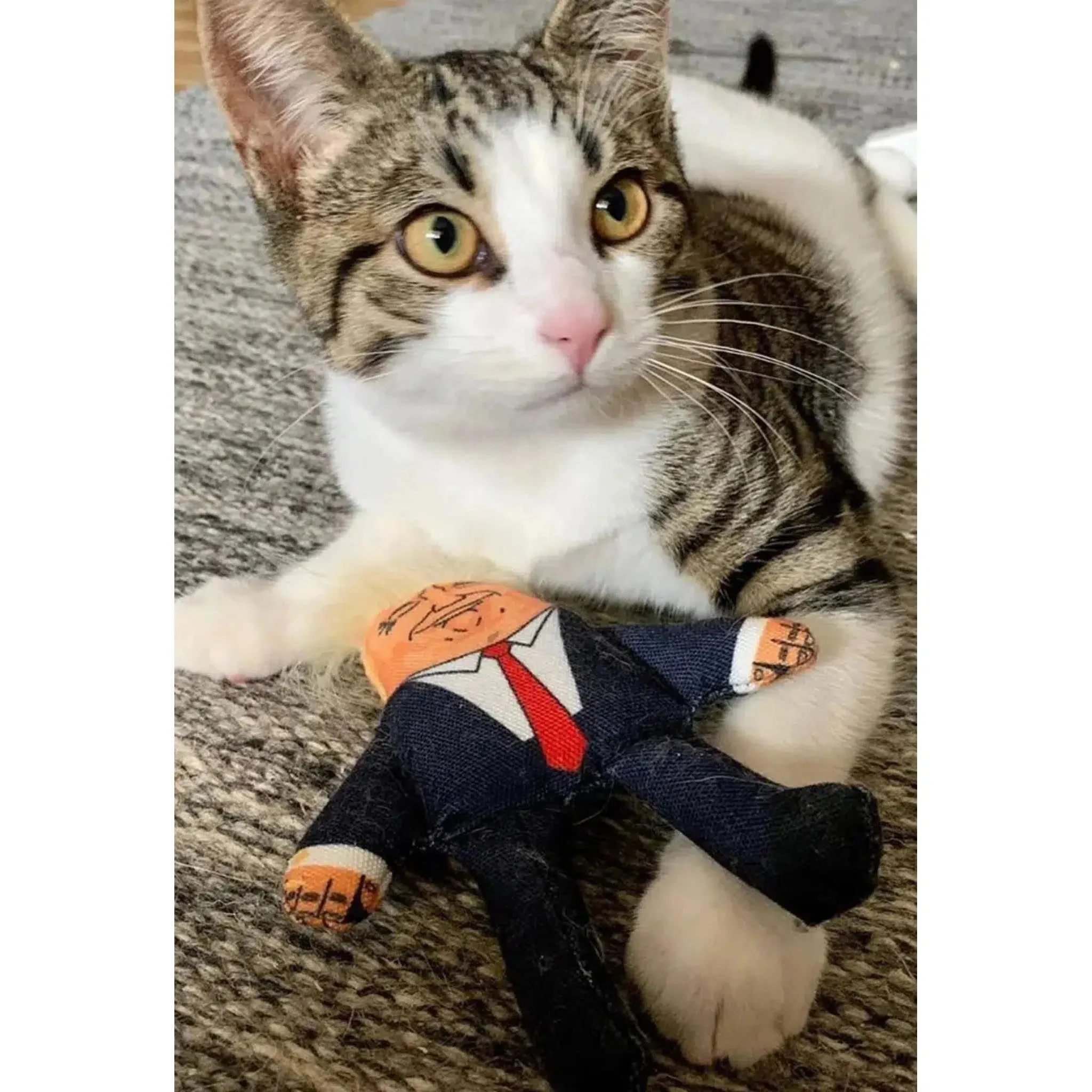 Pet Hates | Donald Trump - Cat Toy