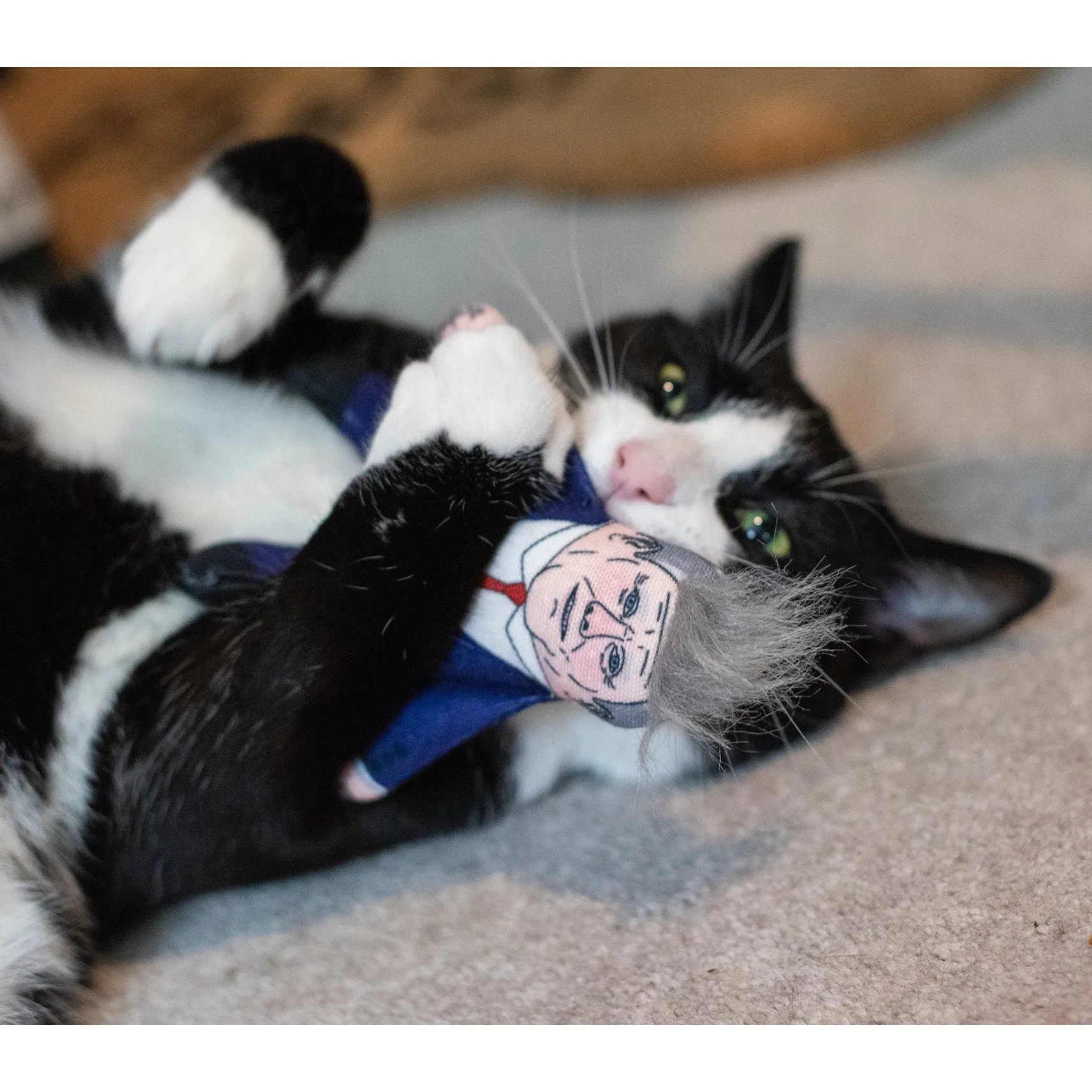 Pet Hates | Keir Starmer - Cat Toy