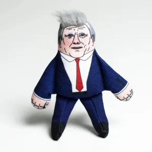 Pet Hates | Keir Starmer - Cat Toy